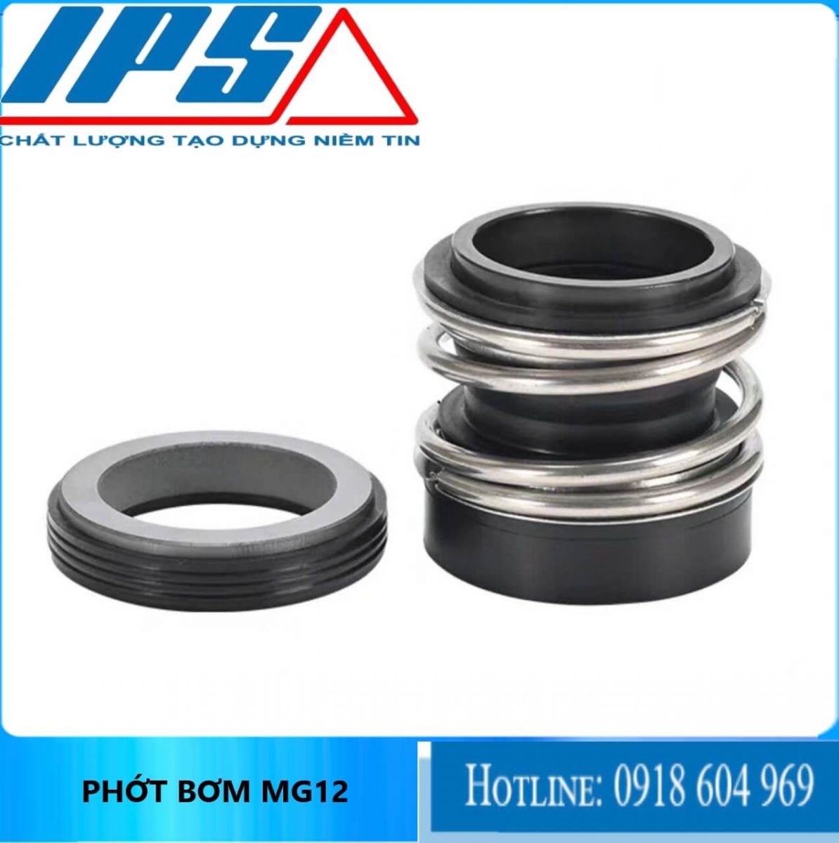 Phớt MG12-6(1)